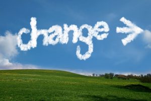 Read more about the article Are you making the most of the new opportunity, the new you?