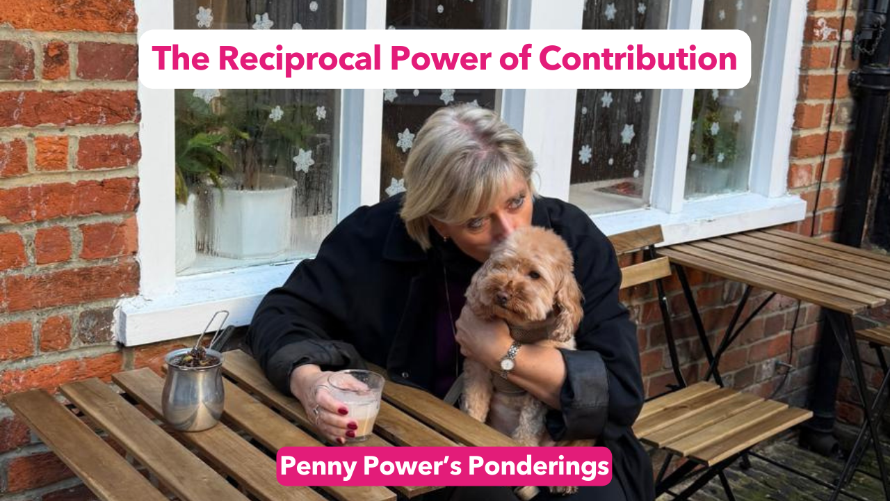 You are currently viewing The Reciprocal Power of Contribution